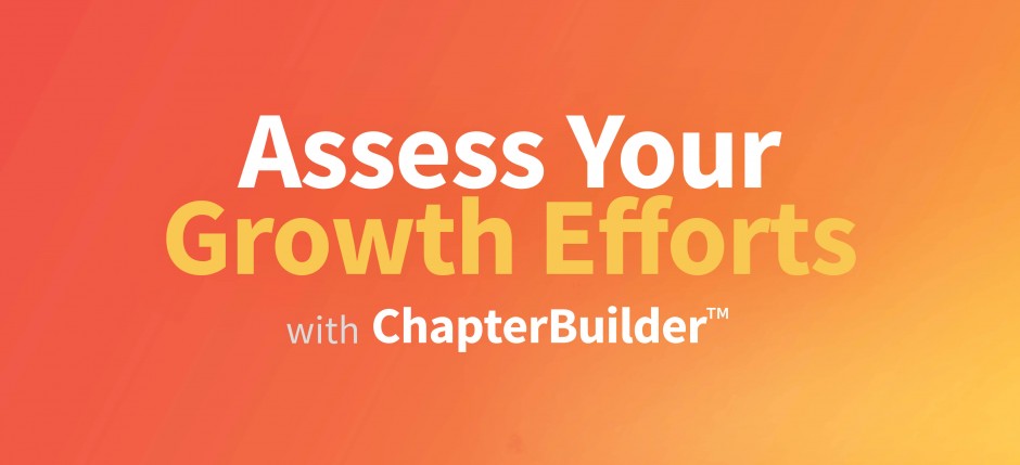 Assess Your Growth Efforts